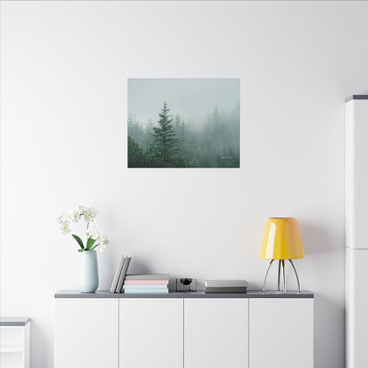 Forest Trees, Matte Canvas, Stretched, 0.75"