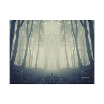 Forest, Matte Canvas, Stretched, 1.25"
