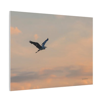 Bird, Matte Canvas, Stretched, 1.25"
