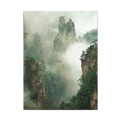 Forest, Matte Canvas, Stretched, 1.25"