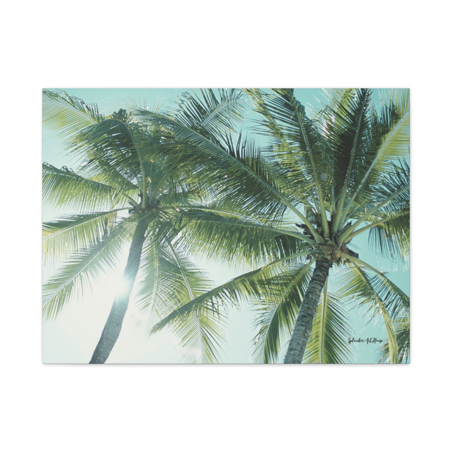 Palm Trees, Matte Canvas, Stretched, 1.25"