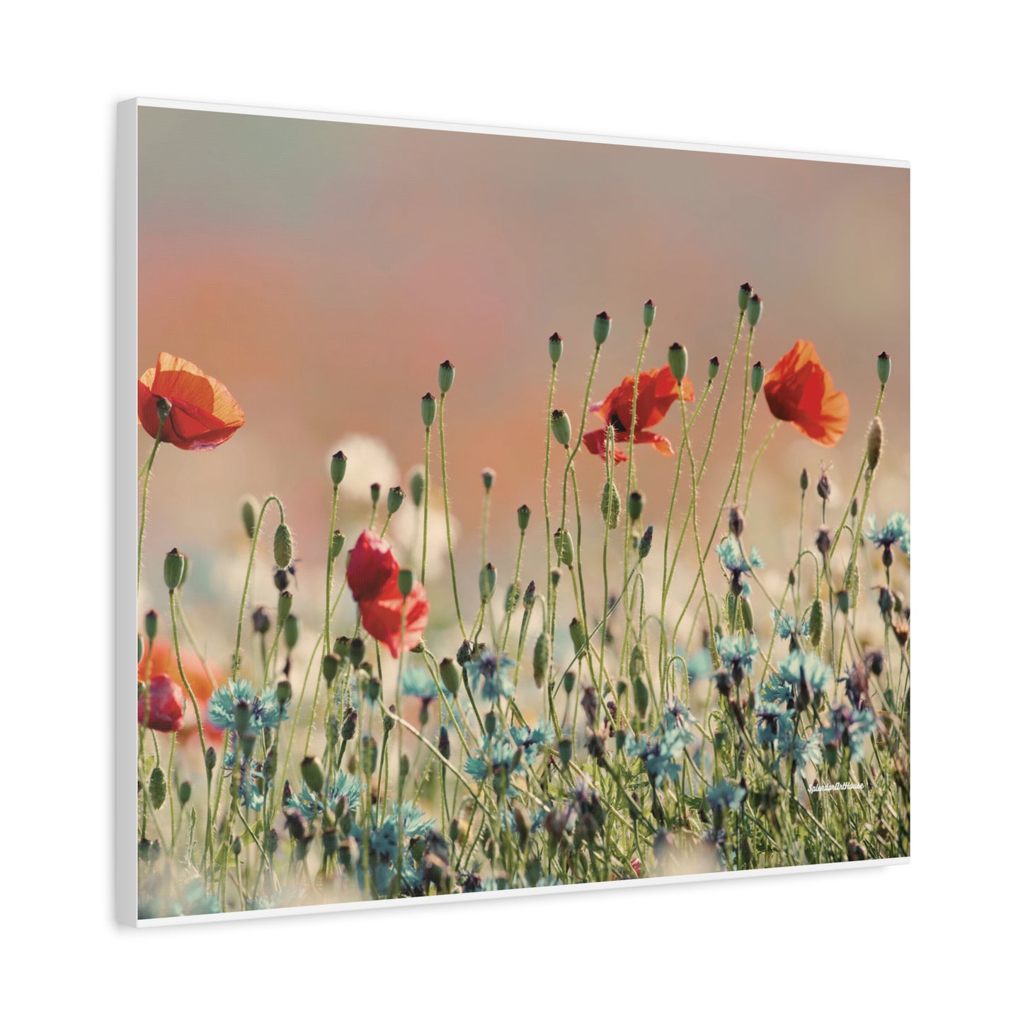 Floral, Matte Canvas, Stretched, 1.25"