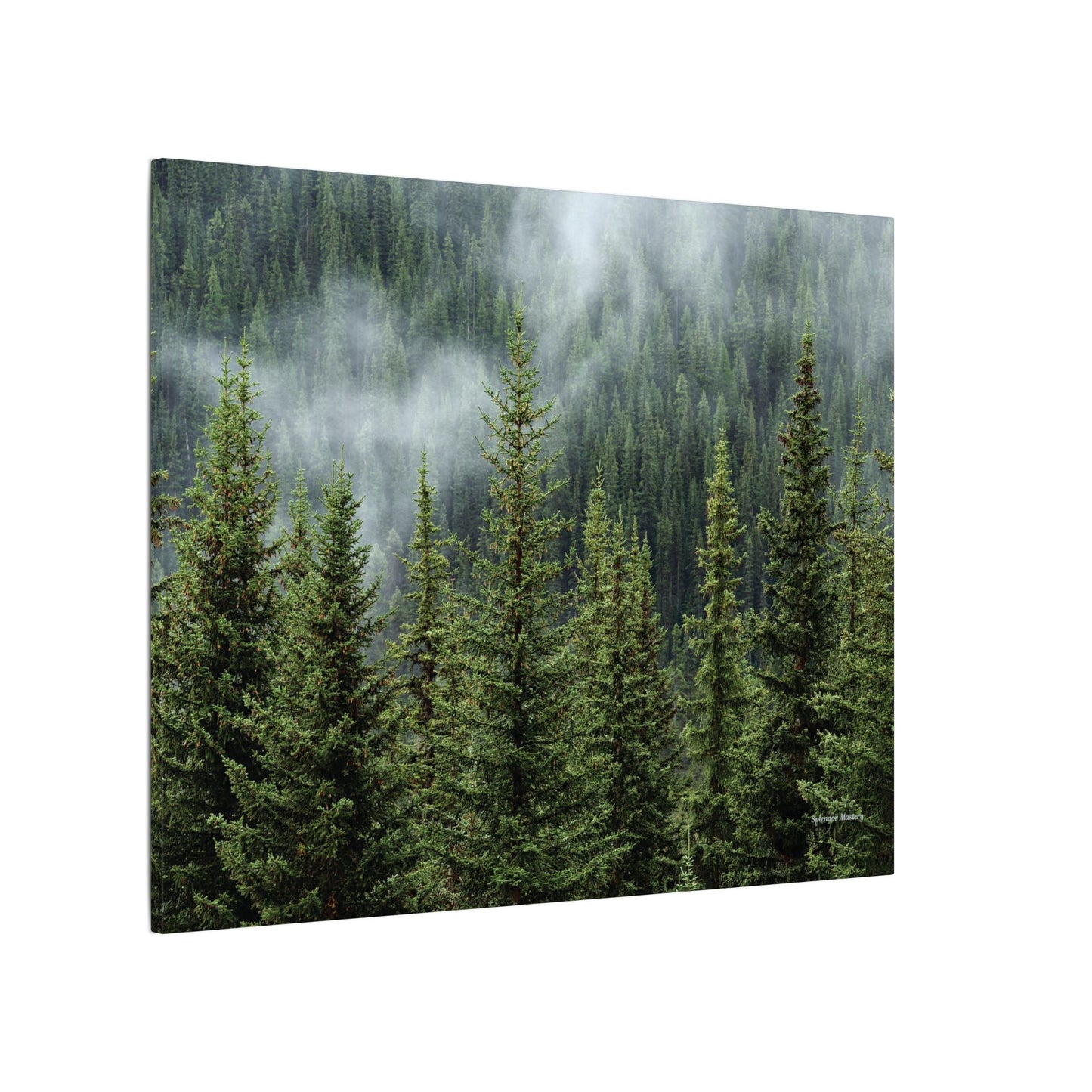 Trees, Matte Canvas, Stretched, 0.75"