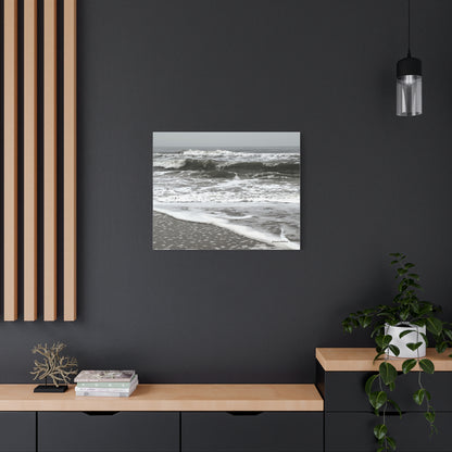 Ocean, Matte Canvas, Stretched, 1.25"