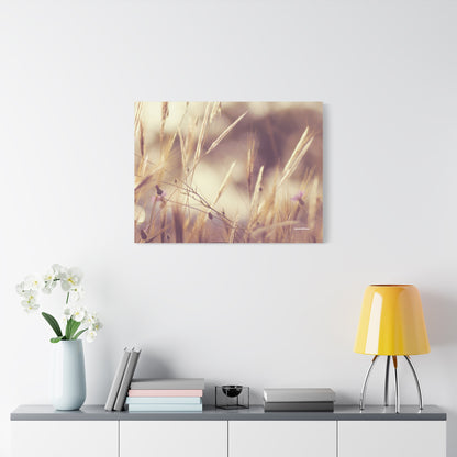 Grass, Matte Canvas, Stretched, 1.25"