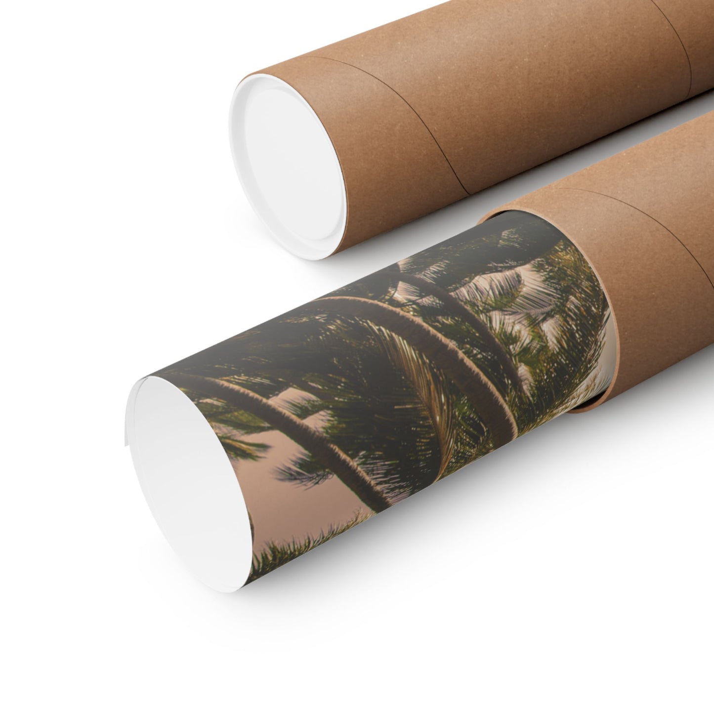 Palm Trees, Matte Horizontal Poster