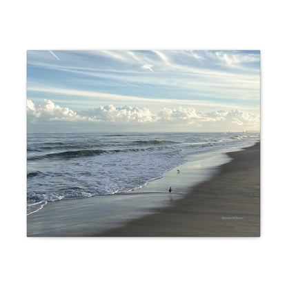 Ocean, Matte Canvas, Stretched, 1.25"