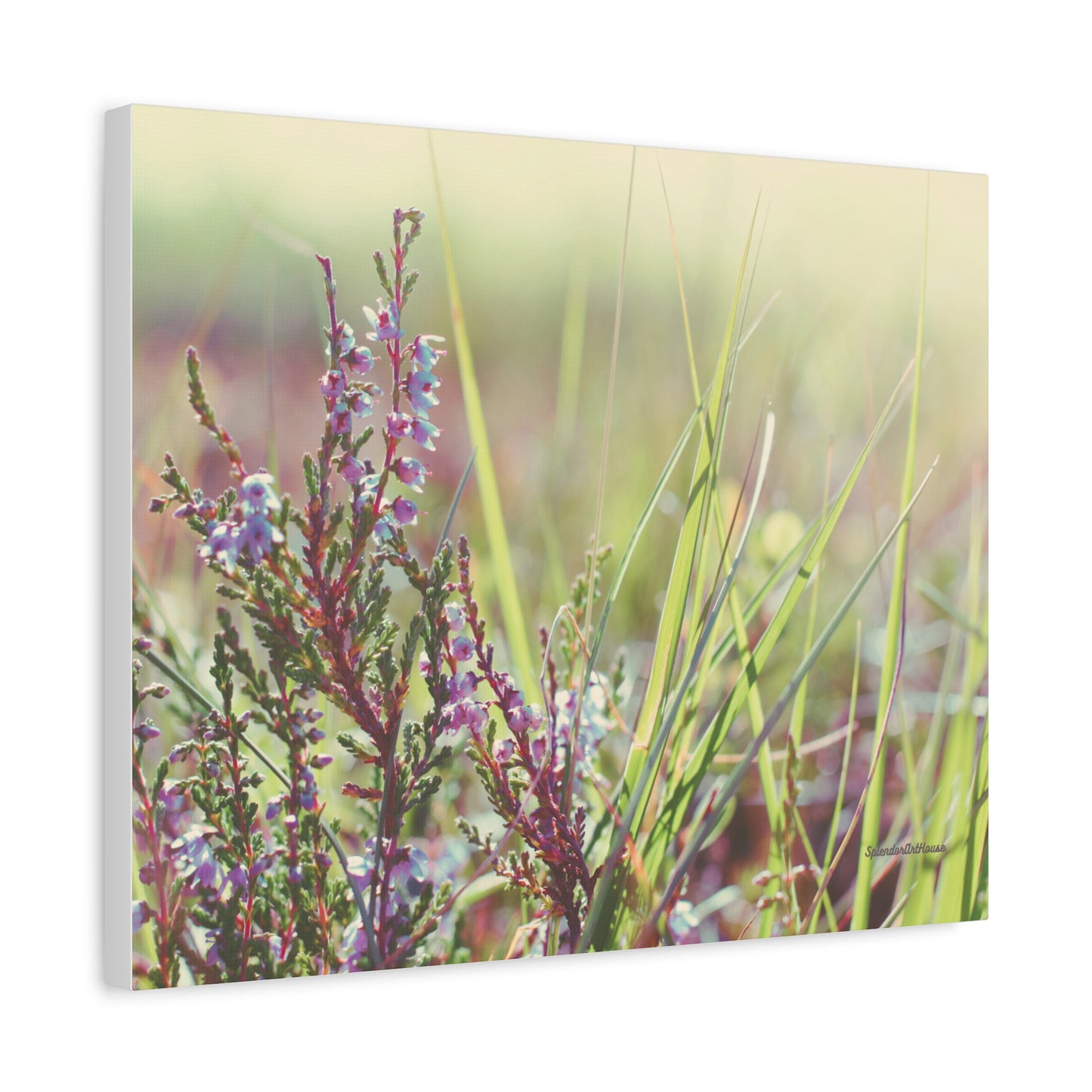 Floral, Matte Canvas, Stretched, 1.25"
