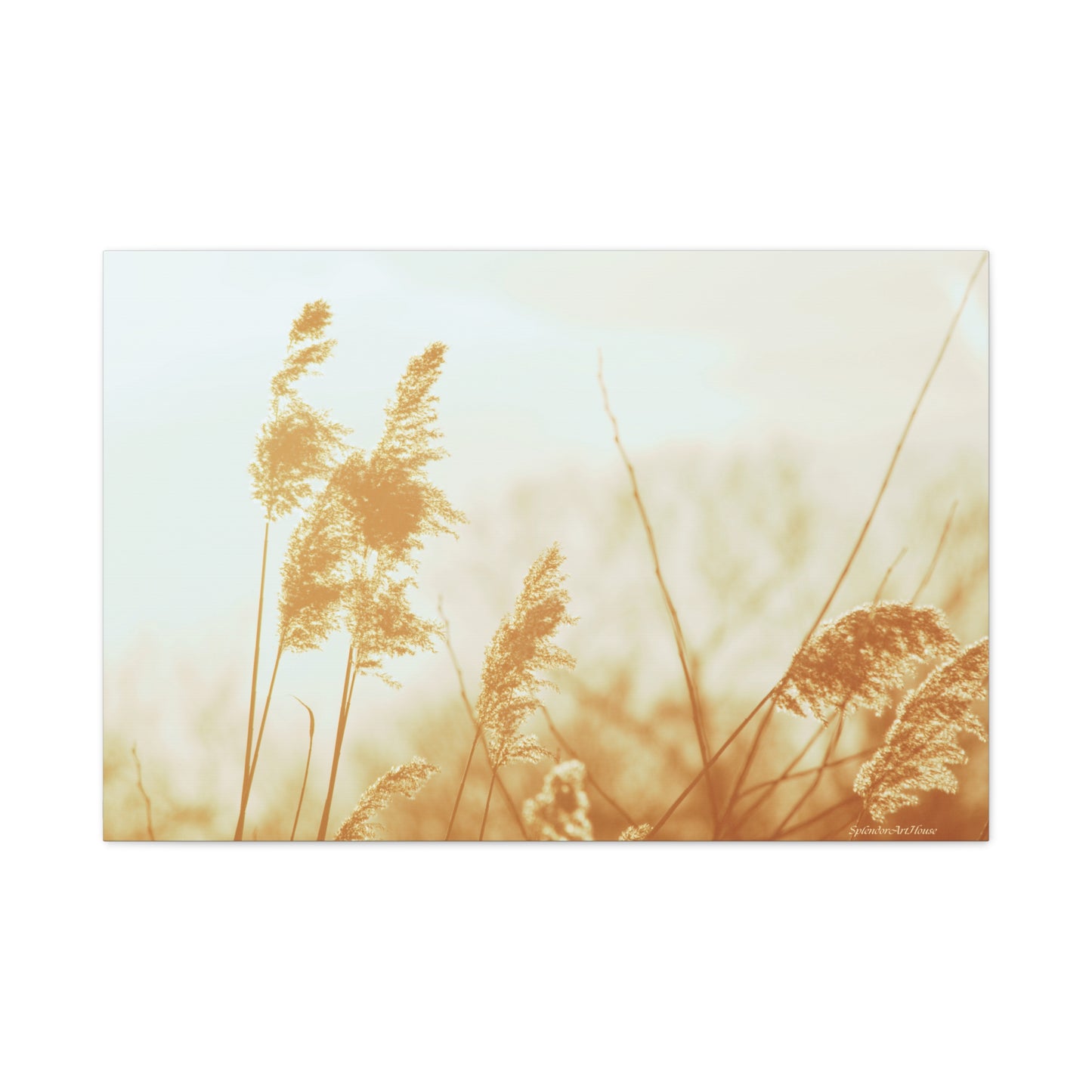 Grass, Matte Canvas, Stretched, 1.25"