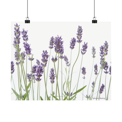 Floral, Matte Poster