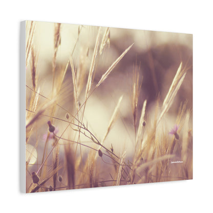 Grass, Matte Canvas, Stretched, 1.25"