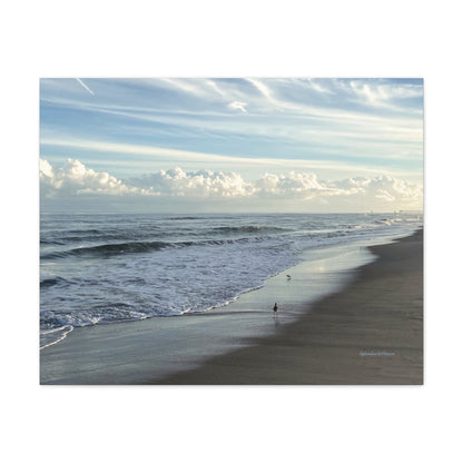 Ocean, Matte Canvas, Stretched, 1.25"