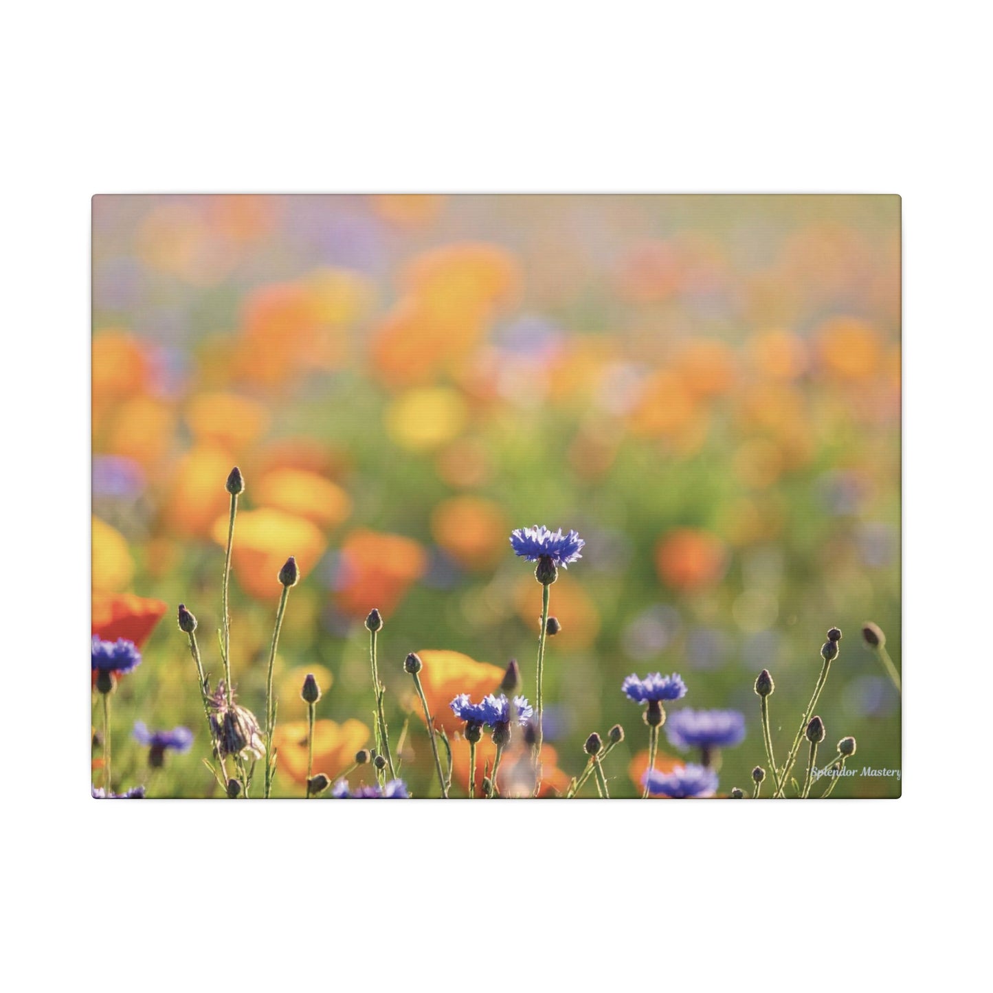 Floral, Matte Canvas, Stretched, 0.75"