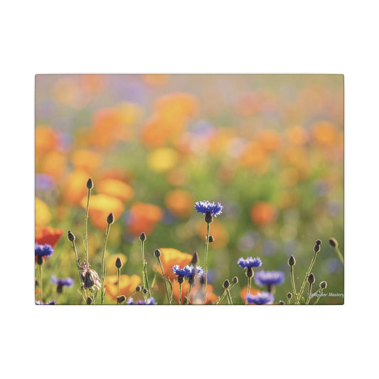 Floral, Matte Canvas, Stretched, 0.75"