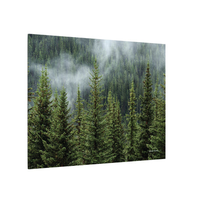 Trees, Matte Canvas, Stretched, 0.75"