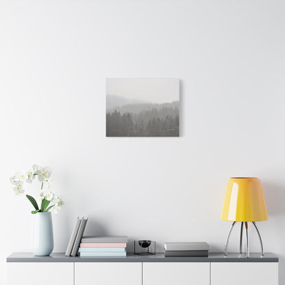 Forest, Matte Canvas, Stretched, 1.25"