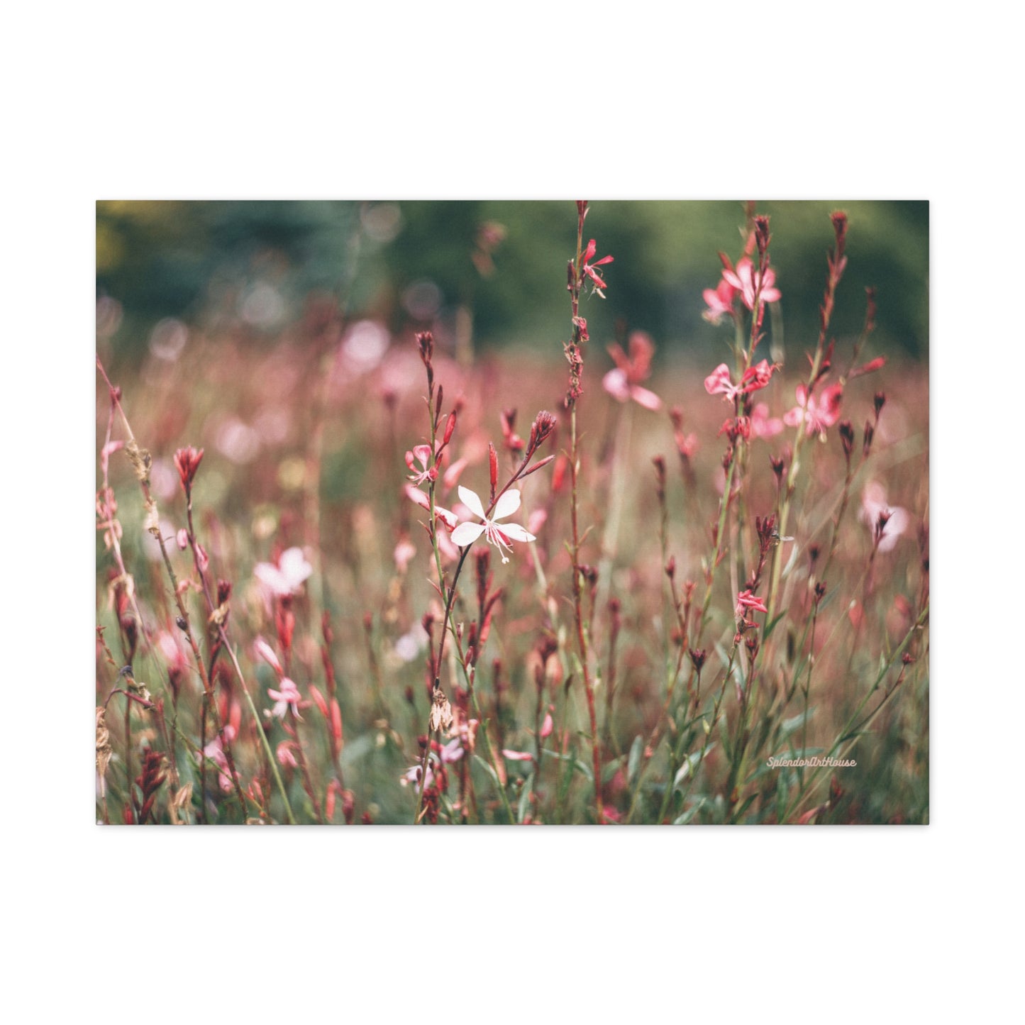Floral, Matte Canvas, Stretched, 1.25"