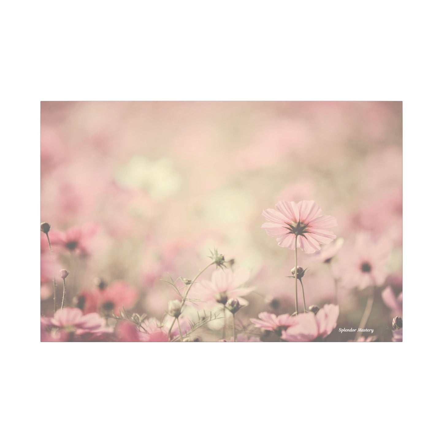 Floral, Matte Canvas, Stretched, 0.75"