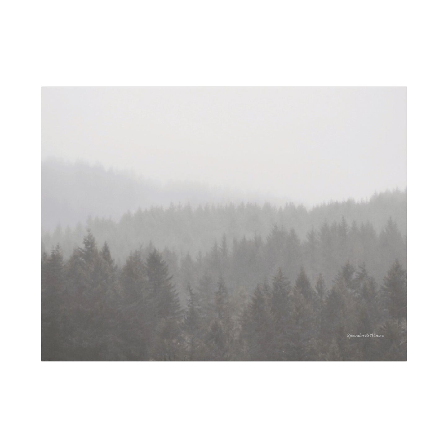 Forest, Matte Canvas, Stretched, 1.25"
