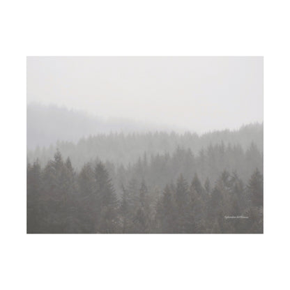 Forest, Matte Canvas, Stretched, 1.25"