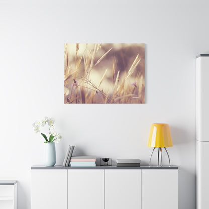 Grass, Matte Canvas, Stretched, 1.25"