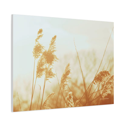 Grass, Matte Canvas, Stretched, 1.25"