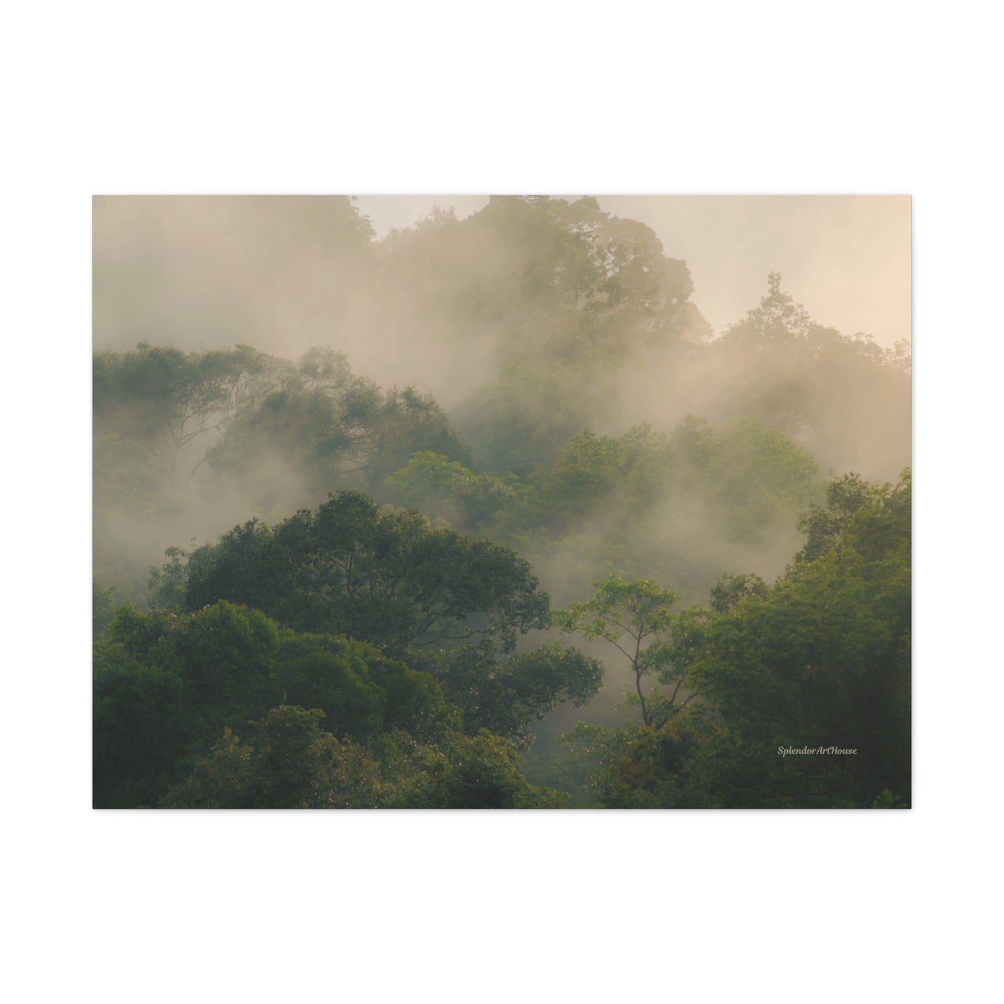 Forest, Matte Canvas, Stretched, 1.25"