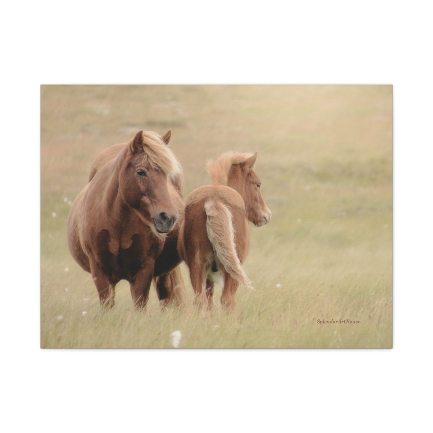 Wild Horses, Matte Canvas, Stretched, 1.25"