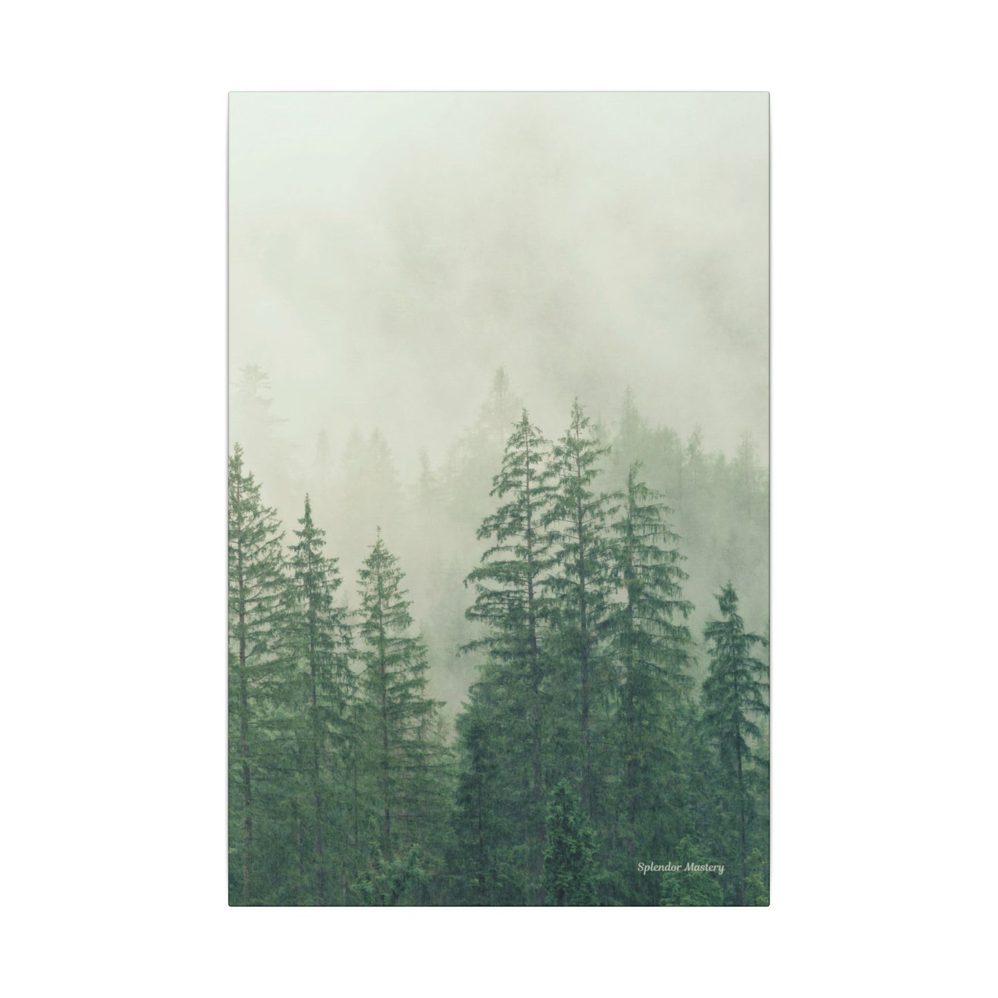 Forest Trees, Matte Canvas, Stretched, 0.75"