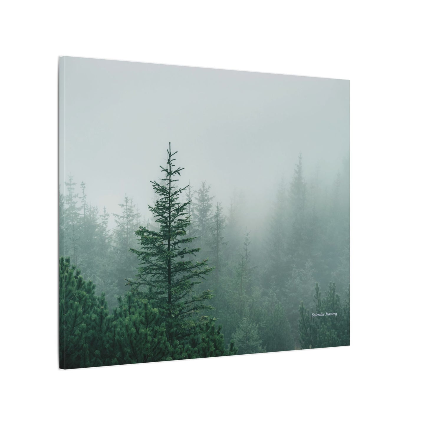 Forest Trees, Matte Canvas, Stretched, 0.75"
