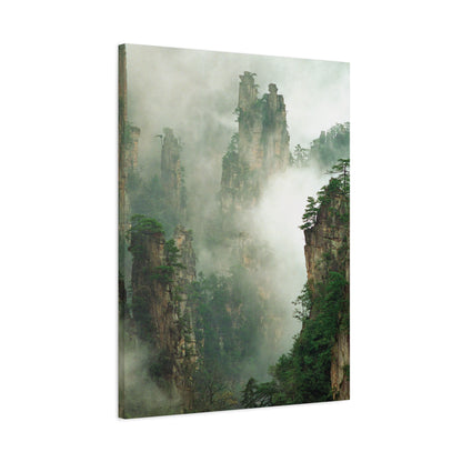 Forest, Matte Canvas, Stretched, 1.25"