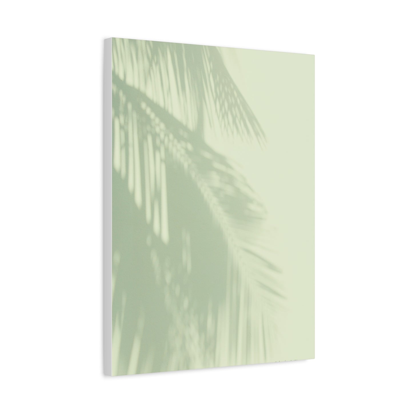 Palm Tree, Matte Canvas, Stretched, 1.25"
