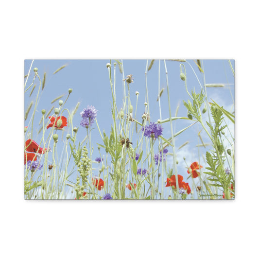 Floral, Matte Canvas, Stretched, 1.25"