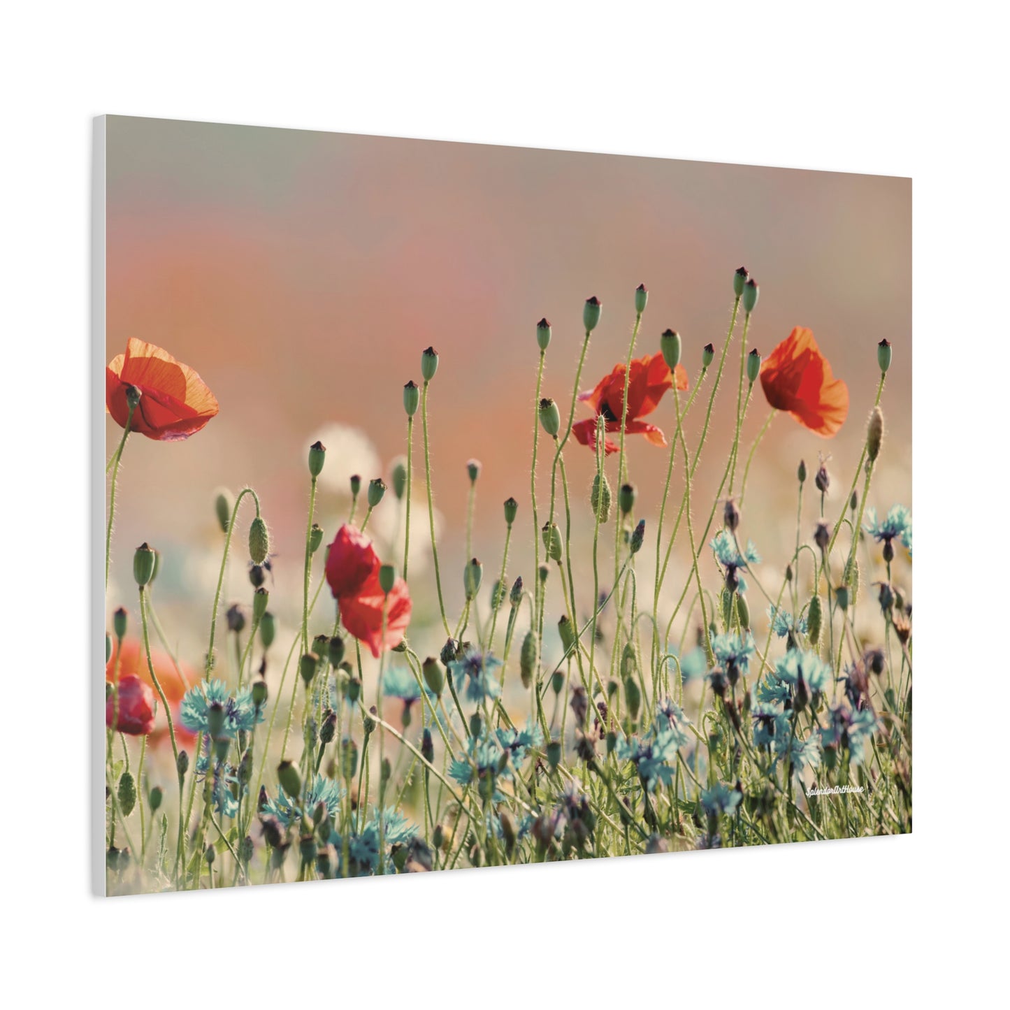 Floral, Matte Canvas, Stretched, 1.25"