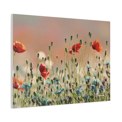 Floral, Matte Canvas, Stretched, 1.25"