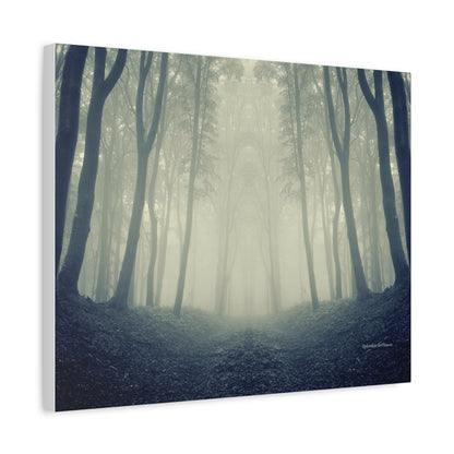 Forest, Matte Canvas, Stretched, 1.25"