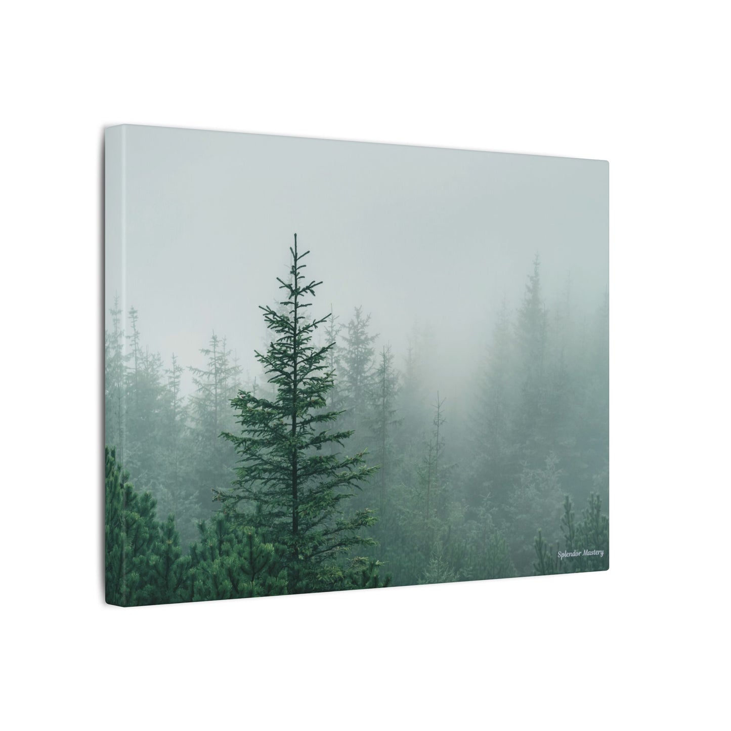 Forest Trees, Matte Canvas, Stretched, 0.75"
