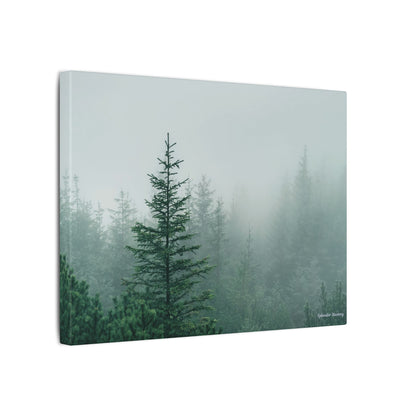 Forest Trees, Matte Canvas, Stretched, 0.75"