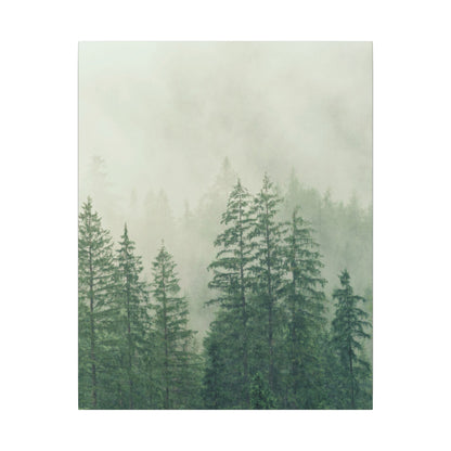 Forest Trees, Matte Canvas, Stretched, 0.75"