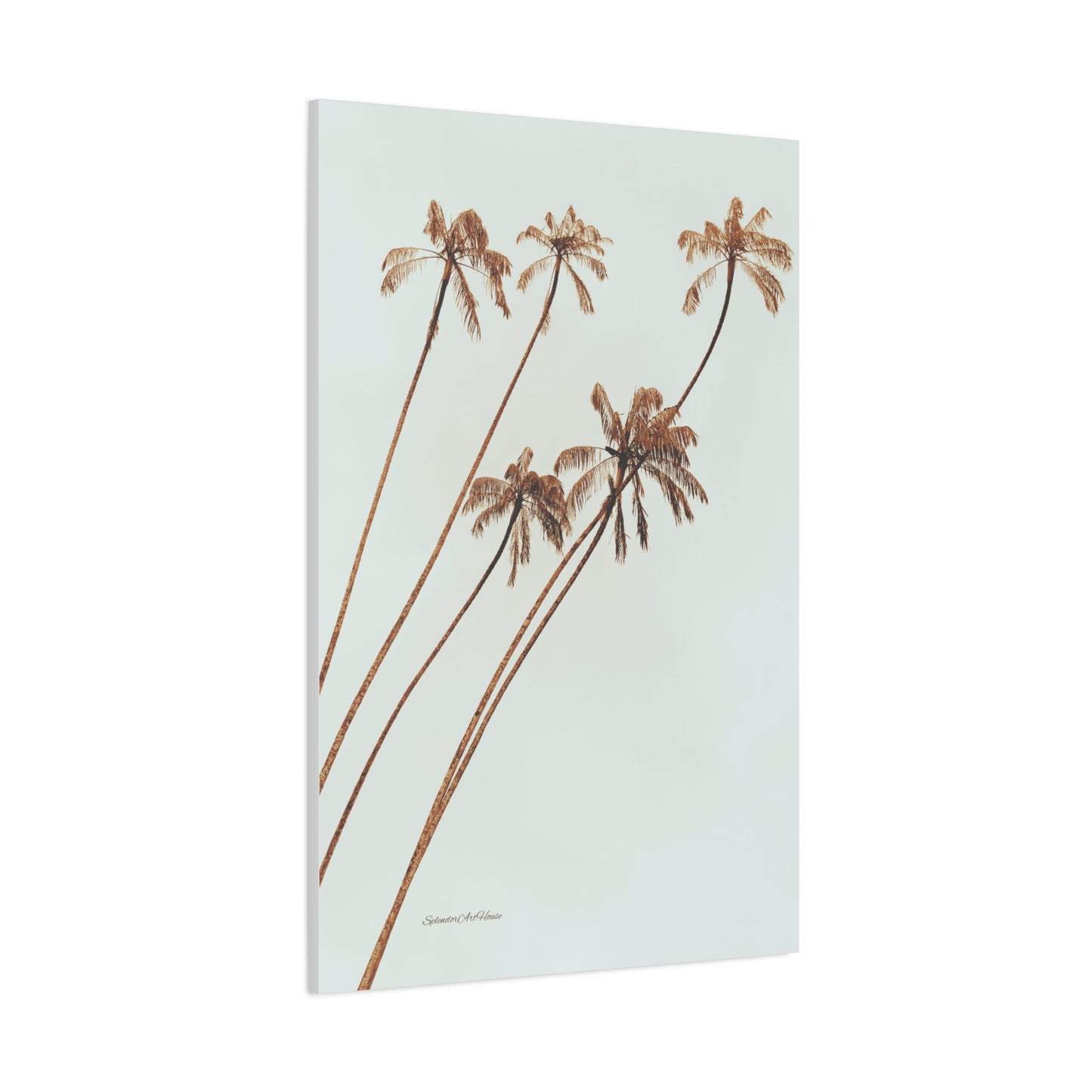 Palm Tree, Matte Canvas, Stretched, 1.25"