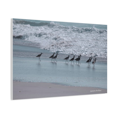 Birds, Matte Canvas, Stretched, 1.25"