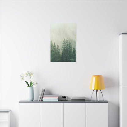 Forest Trees, Matte Canvas, Stretched, 0.75"