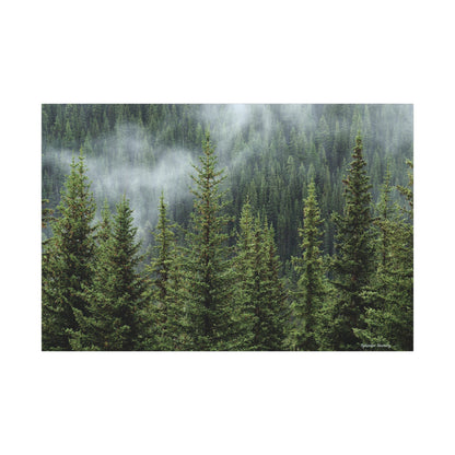 Trees, Matte Canvas, Stretched, 0.75"