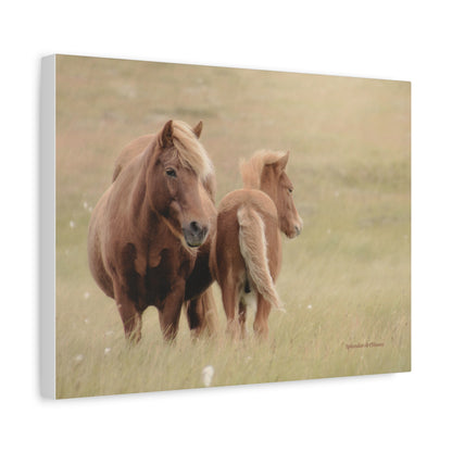 Wild Horses, Matte Canvas, Stretched, 1.25"