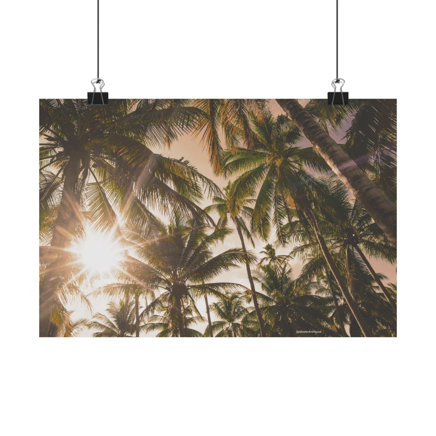 Palm Trees, Matte Horizontal Poster