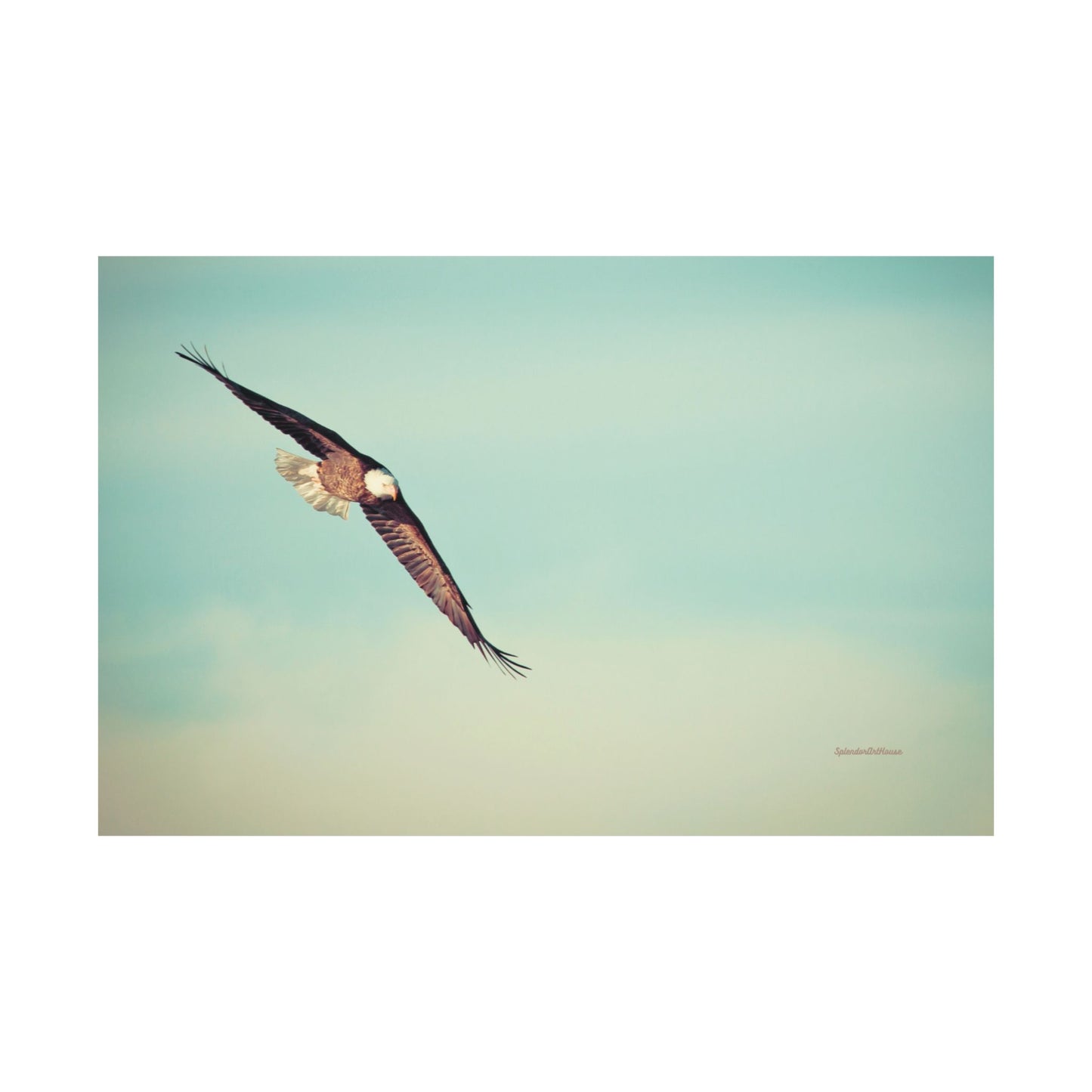 Bird, Matte Horizontal Poster