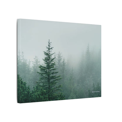 Forest Trees, Matte Canvas, Stretched, 0.75"