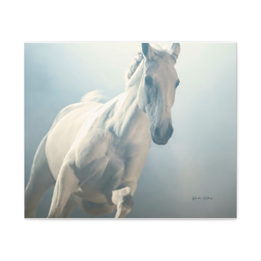 Horse, Matte Canvas, Stretched, 1.25"