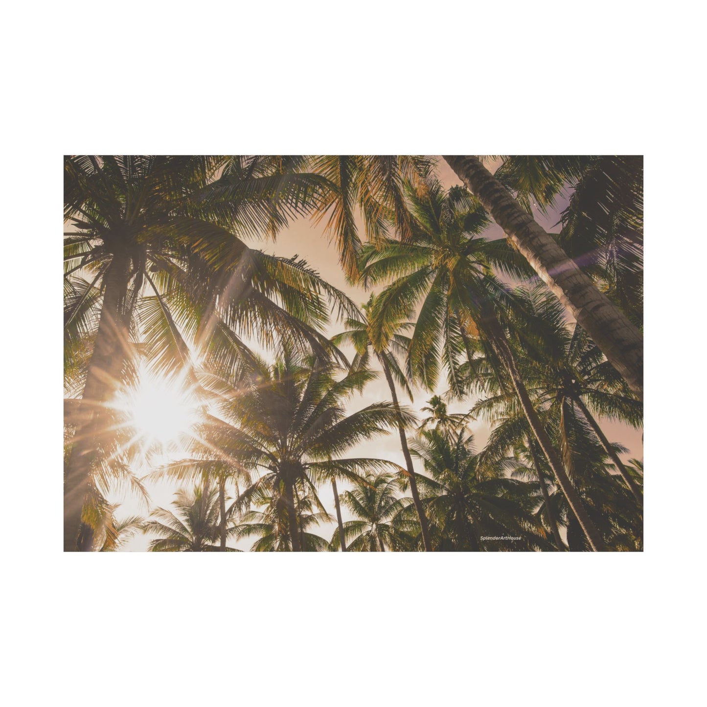 Palm Trees, Matte Horizontal Poster