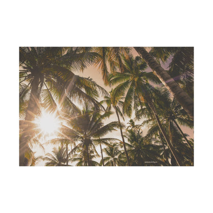 Palm Trees, Matte Horizontal Poster